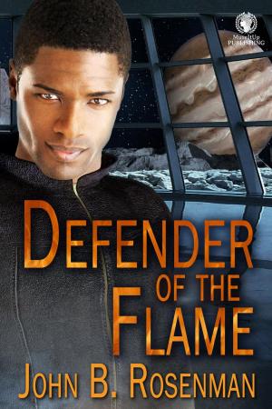 Book cover of Defender of the Flame