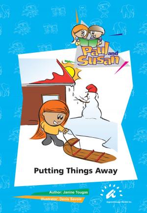 Book cover of Putting things Away
