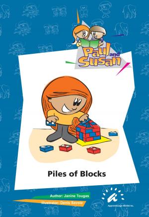Book cover of Piles of Blocks