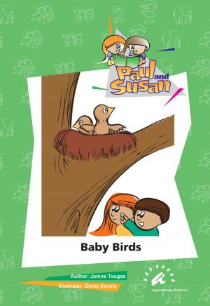 Book cover of Bay Birds