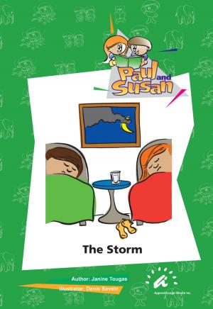 Book cover of The Storm