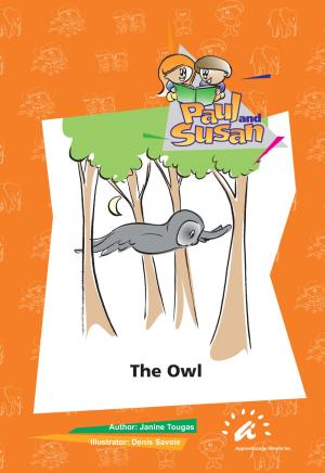 Cover of the book The Owl by Christian Baumgarten, Volker Borbein