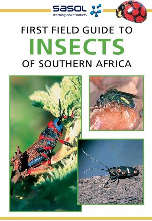 Cover of the book First Field Guide to Insects of Southern Africa by Gian C. Bozano
