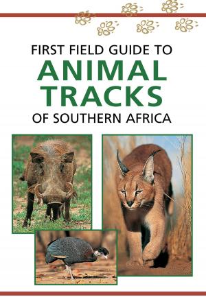 Cover of the book First Field Guide to Animal Tracks of Southern Africa by Emma Sadleir