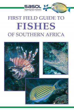Cover of the book First Field Guide to Fishes of Southern Africa by Francis Wilson