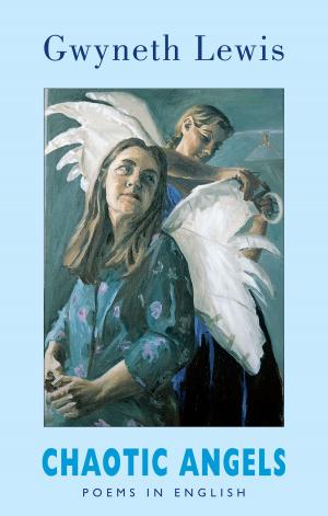 Cover of the book Chaotic Angels by Jane Clarke