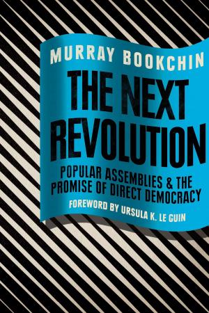 Book cover of The Next Revolution
