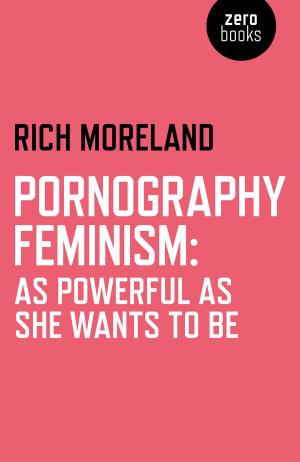Cover of the book Pornography Feminism by Peter Shepherd