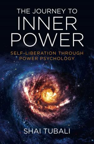 Cover of the book The Journey to Inner Power by Ira Rechtshaffer