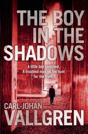 Cover of the book The Boy in the Shadows by Derek Robinson
