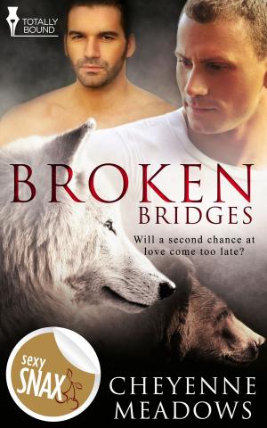 Cover of the book Broken Bridges by Morticia Knight