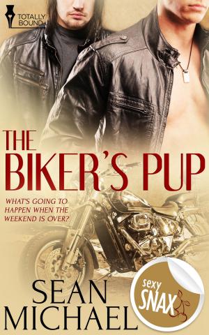 Cover of the book The Biker's Pup by Mel Teshco