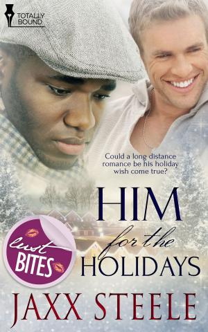 Cover of the book Him for the Holidays by A.J. Llewellyn