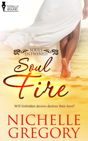 bigCover of the book Soul Fire by 