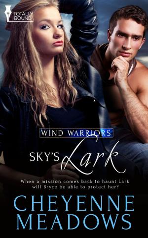 Cover of Sky’s Lark