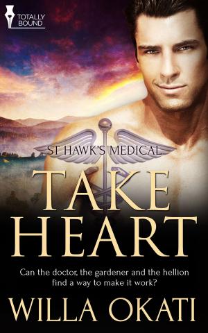 Cover of the book Take Heart by L.M. Somerton