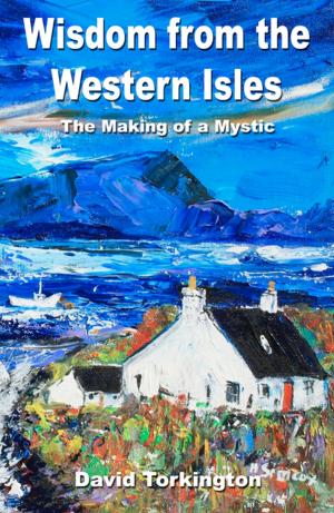 bigCover of the book Wisdom from the Western Isles by 