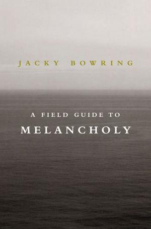 Book cover of A Field Guide to Melancholy