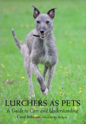 Cover of the book Lurchers as Pets by Richard Dredge