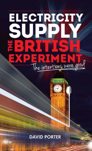 Cover of the book Electricity Supply, The British Experiment by Martin Berry