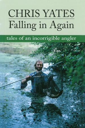 bigCover of the book Falling in Again by 