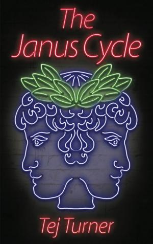 bigCover of the book The Janus Cycle by 