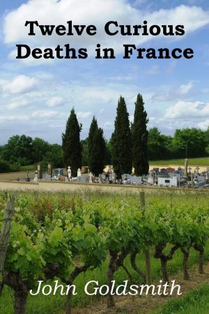 Cover of the book Twelve Curious Deaths in France by Jack O'Connell