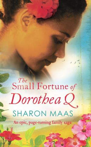 Cover of the book The Small Fortune of Dorothea Q by Sue Roberts