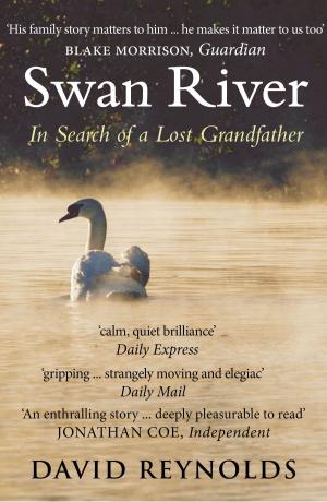 Cover of the book Swan River by S.E. Lister
