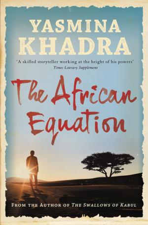 Cover of the book The African Equation by Roma Tearne