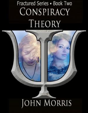 Book cover of Conspiracy Theory