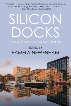 Book cover of Silicon Docks