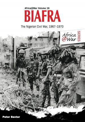 Cover of the book Biafra by Rolf Hinze