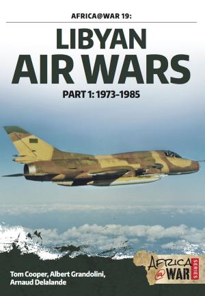 Book cover of Libyan Air Wars