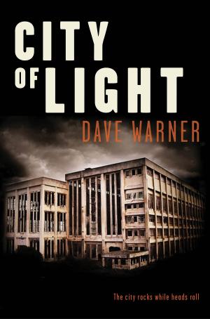 Cover of the book City of Light by Sean Avery