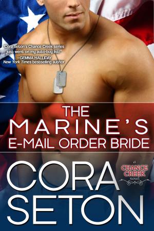 Cover of the book The Marine's E-Mail Order Bride by Mary E. Pearson