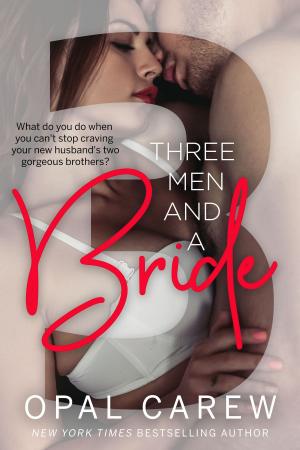Cover of the book Three Men and a Bride by Ruby Carew, Opal Carew