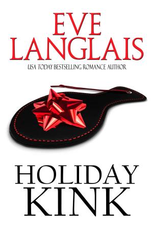Cover of Holiday Kink