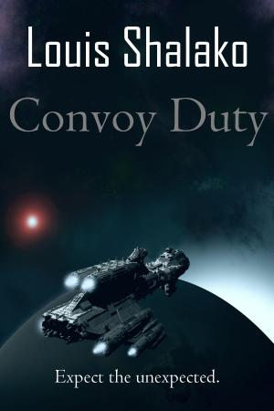 Cover of the book Convoy Duty by Constance 'Dusty' Miller