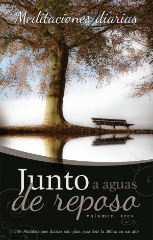 Cover of the book Junto a aguas De Repose V. 3 by Simon Schrock