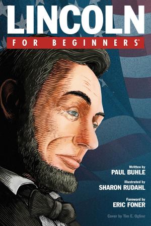 Cover of the book Lincoln For Beginners by David Cogswell