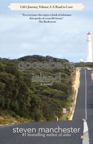Cover of the book Gooseberry Island by Tom Avitabile