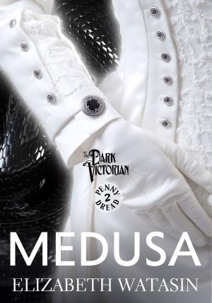 Cover of the book Medusa by Jennifer Estep