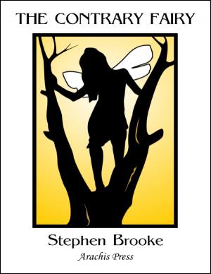 Cover of the book The Contrary Fairy by Stephen Brooke