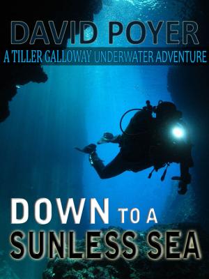 Cover of the book DOWN TO A SUNLESS SEA by David Poyer