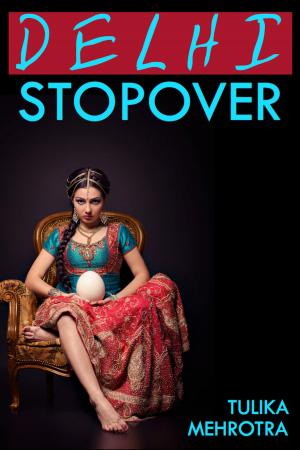 Cover of the book Delhi Stopover by Kris Jayne