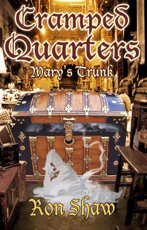 Cover of the book Mary's Trunk by Susan Jean Ricci