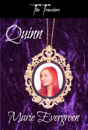 Cover of the book The Travelers: Quinn by A M Jenner