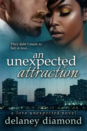 Book cover of An Unexpected Attraction
