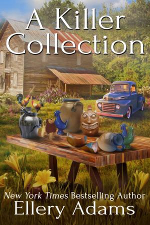 Cover of the book A Killer Collection by Gail Oust